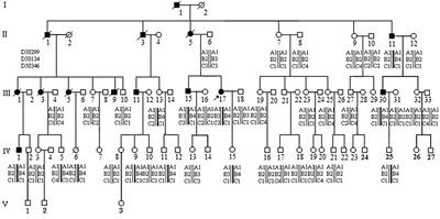 An APC Mutation in a Large Chinese Kindred With Familial Adenomatous Polyposis Was Identified Using Both Next Generation Sequencing and Simple STR Marker Haplotypes
